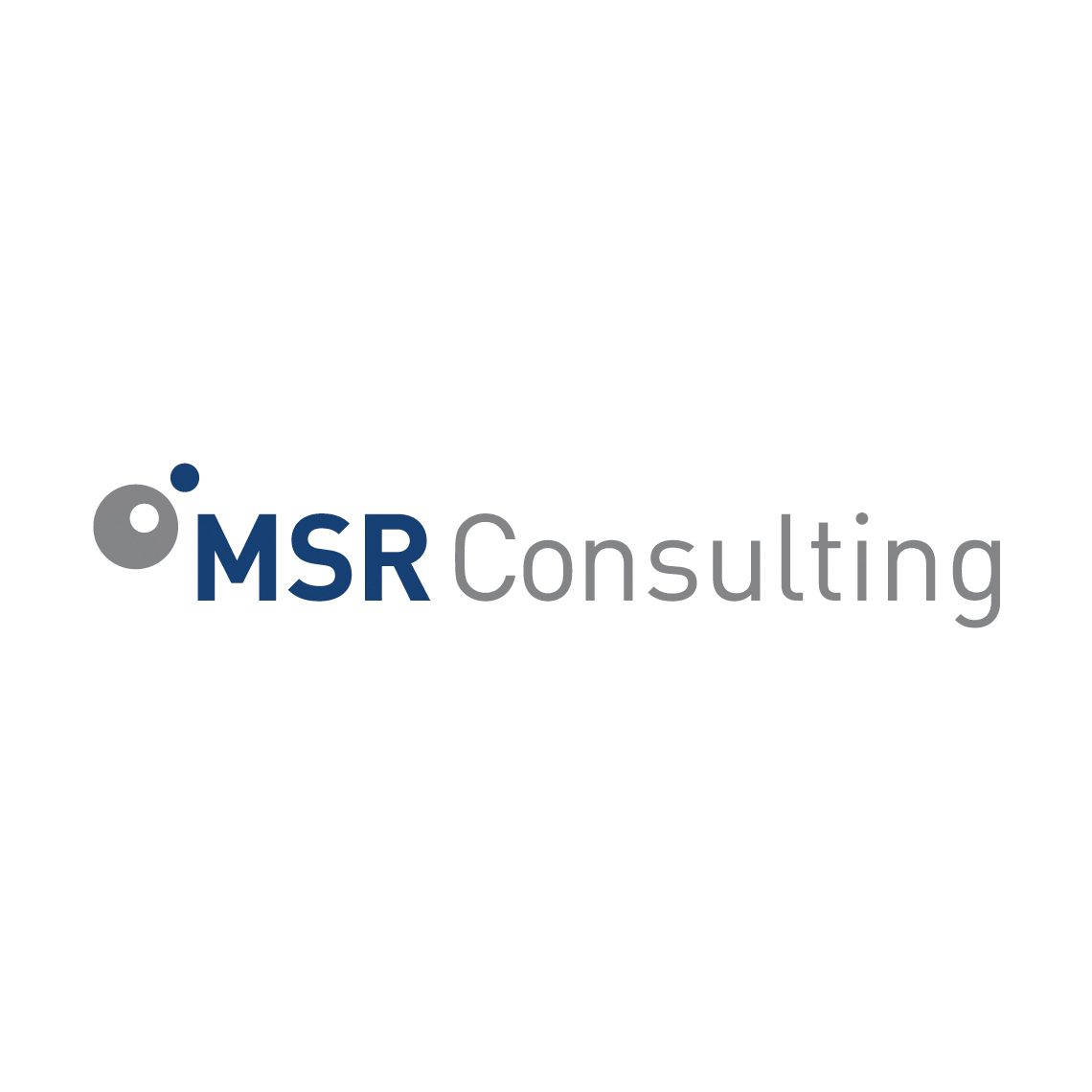 Partner: MSR Consulting.jpg